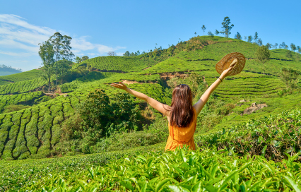 The Ultimate Munnar Travel Guide: Planning Your Perfect Kerala Hill Station Trip