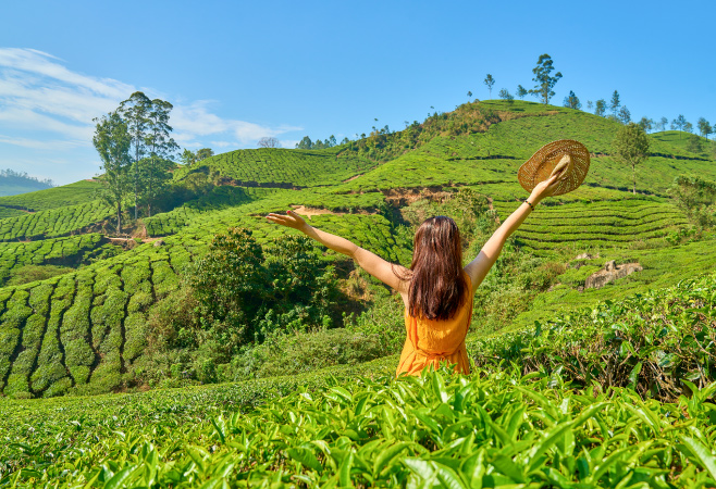 Munnar is a picturesque town with rolling hills, tea plantations, and scenic drives