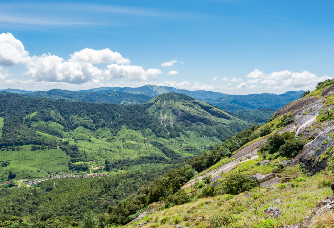 Eravikulam National Park, the first of its kind in Kerala, protects the Nilgiri Thar and has rare animals, birds, and butterflies Eravikulam National Park, the first of its kind in Kerala, protects the Nilgiri Thar and has rare animals, birds, and butterflies