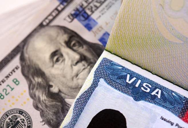 Tourists can pay the visa fee online as they finalize their application