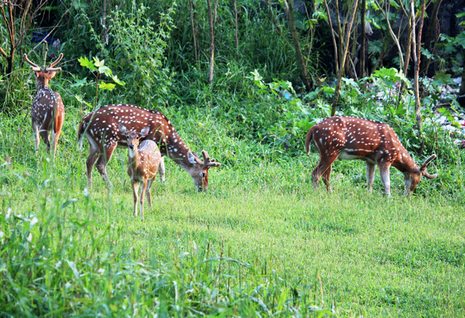 This urban oasis beckons nature enthusiasts and adventure seekers alike