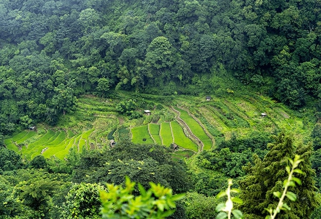 Khonoma is a 'warrior village ' known for its resistance, wildlife conservation, and as the first Green Village in Asia, with rich culture