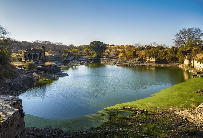 Ranthambore Fort is characterised by temples, tanks, massive gates and huge walls.