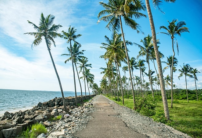 Ponnumthuruthu Island is a serene island with lush greenery, a historic Shiva-Parvati Temple, and rich biodiversity