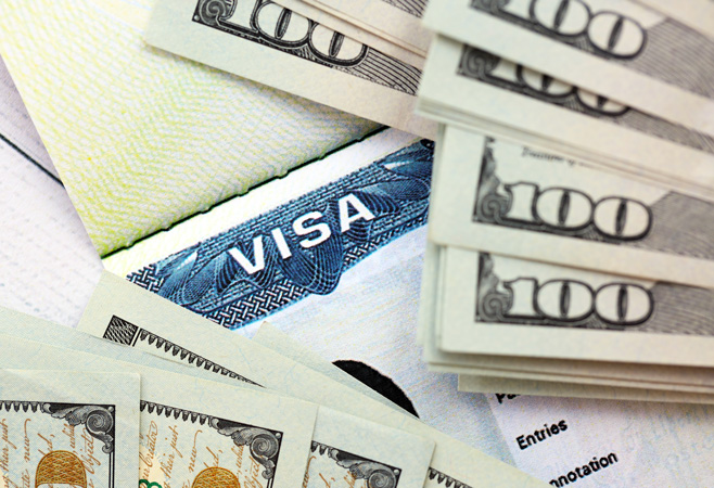 The Visa fee is the fee set by the Government of India for issuing an electronic visa.
