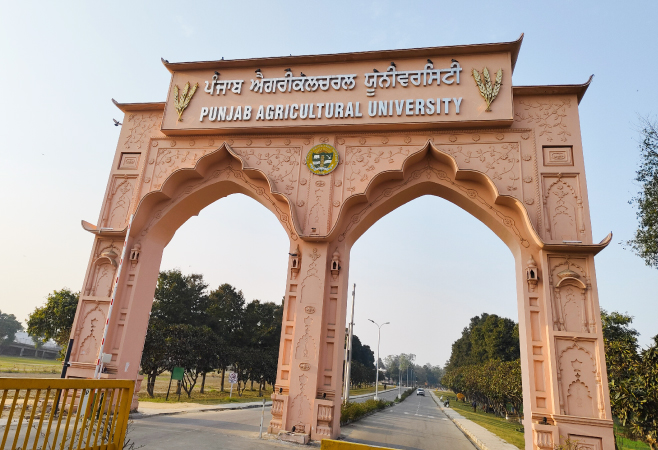 Punjab Agricultural University (PAU) is one of India's leading agricultural universities and a major center for research, education, and innovation in farming