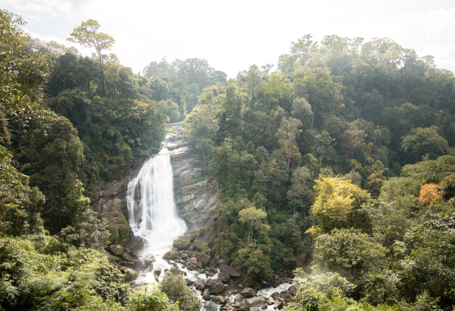 This gem tucked away in the lush hills of Munnar is a paradise for nature lovers and adventurers alike This gem tucked away in the lush hills of Munnar is a paradise for nature lovers and adventurers alike