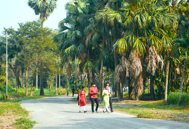 The garden has a variety of rare and medicinal plants, making it an educational destination for botanists and nature lovers.