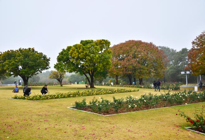 The Chandigarh Botanical Garden Sarangpur is a significant green space dedicated to the conservation of plant species and environmental education