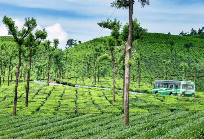 Coimbatore is a vibrant city bursting with culture, tradition, and an incredible shopping experience