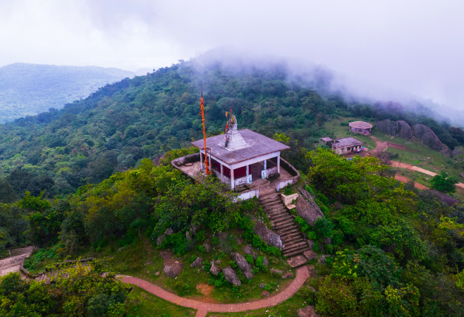 Dalma Wildlife Sanctuary is a haven for outdoor adventurers and wildlife enthusiasts