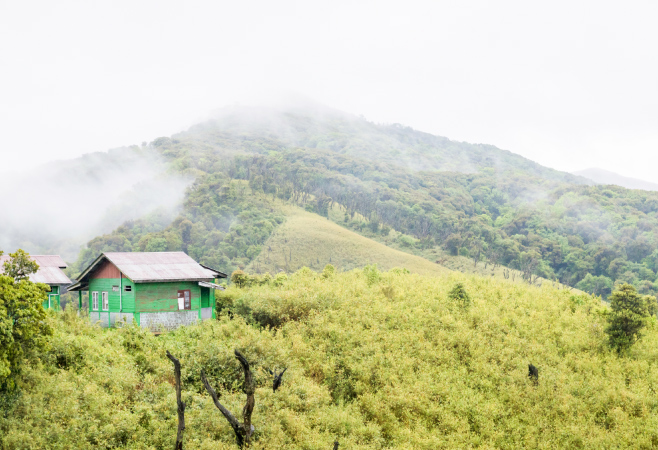 It is a breathtaking journey that treats you with natural beauty throughout the trekking trails 