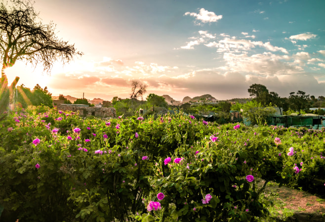 This is among the best maintained gardens in Nagpur