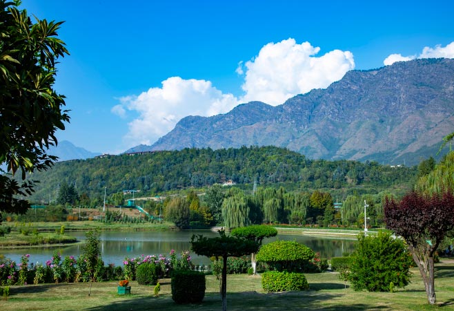 This garden offers a broad range of experiences-from sightseeing and photography to plant studies, birdwatching, and simple relaxation in the heart of nature