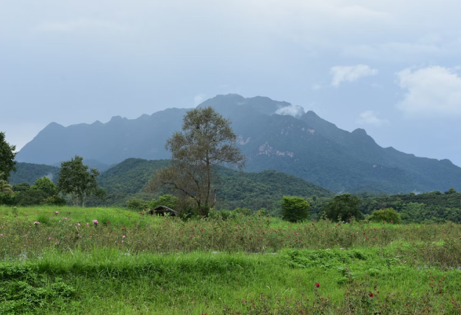 Kachida Valley is one of the must-visit destinations when visiting Ranthambore National Park