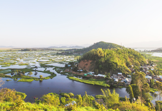A glimpse of the deer in this unique wetland ecosystem is a must for any wildlife enthusiast.