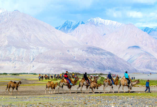 Known for its stark high-altitude terrain and freezing temperatures, Ladakh is one of the coldest deserts in India