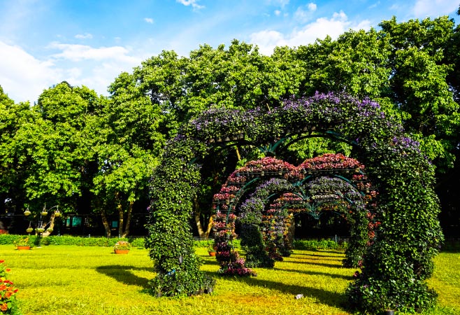 Lloyd’s Botanical Garden in Darjeeling is a famous place to visit in the picturesque hill station in West Bengal.