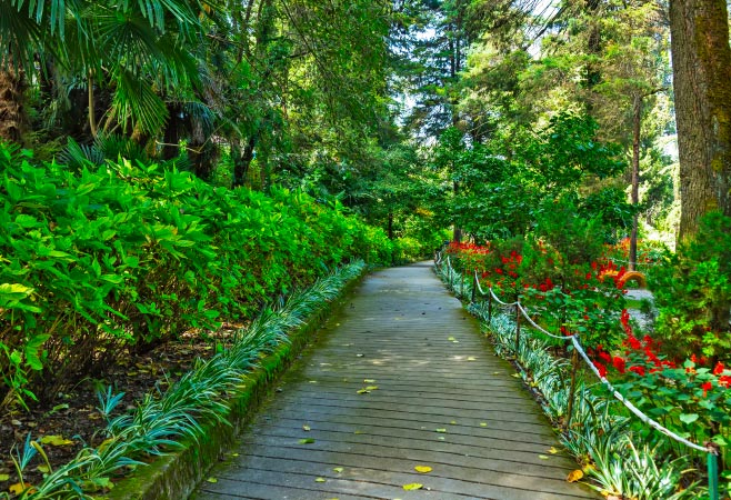 Its diverse collection of plants, including medicinal species, ornamentals, and endangered varieties, serves as a living laboratory