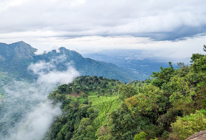 Ooty, a very beautiful part of South India, has been one of the must-visit places for tourists