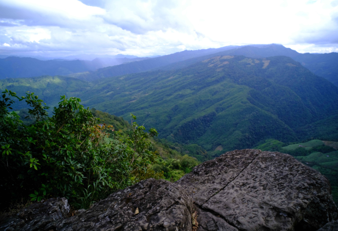 Phawngpui National Park is known for its rich biodiversity and the scenic Blue Mountain peak