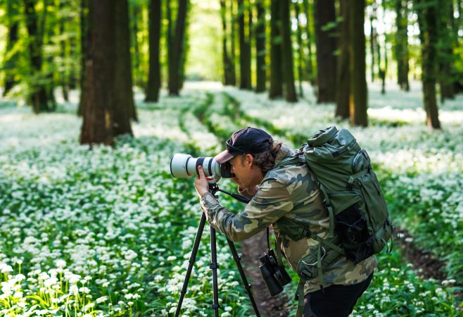Botanical gardens in India offers a variety of unique and diverse spaces for film and photo