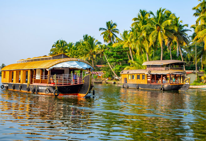 These tranquil waterways are fringed with lush greenery, coconut palms, paddy fields, and quaint villages, creating a charming landscape.