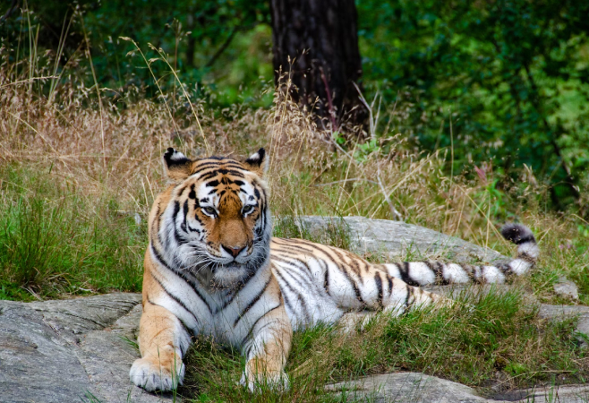 Ranthambore National Park is a wildlife sanctuary, so it’s important to dress appropriately