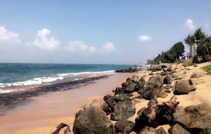Varkala Beach Travel Guide: The Ultimate Guide to Kerala&#39;s Cliffside Gem